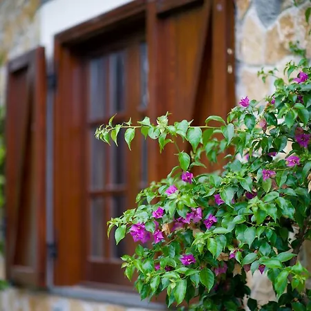 Azienda Agrituristica Vivi Natura Pompei