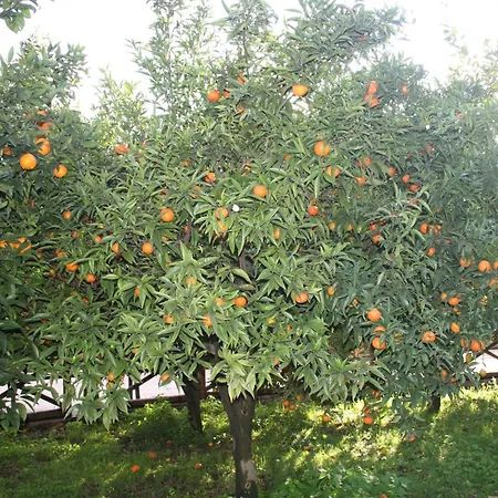Azienda Agrituristica Vivi Natura Pompei