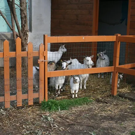 Alloggio per agriturismo Azienda Agrituristica Vivi Natura