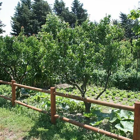 Gospodarstwo agroturystyczne Azienda Agrituristica Vivi Natura Pompeja
