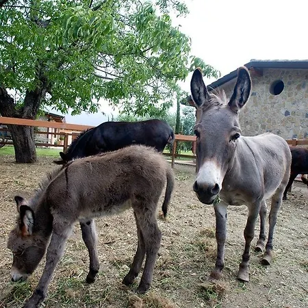 Gospodarstwo agroturystyczne Azienda Agrituristica Vivi Natura Pompeja
