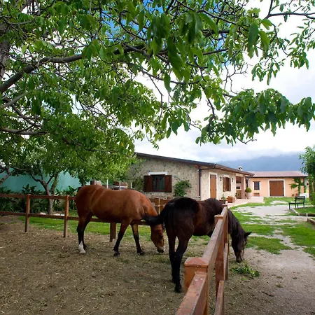 Azienda Agrituristica Vivi Natura Gospodarstwo agroturystyczne *