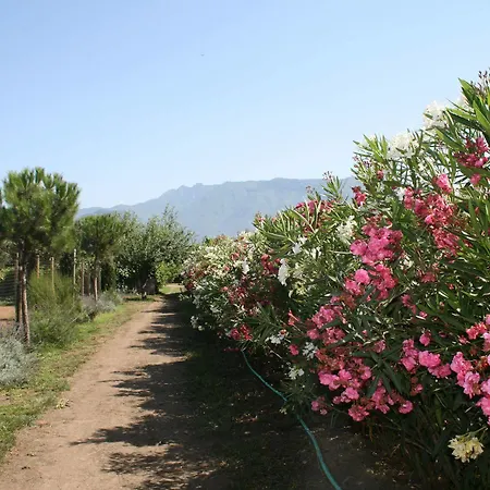 Alloggio per agriturismo Azienda Agrituristica Vivi Natura *