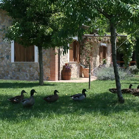 Azienda Agrituristica Vivi Natura Alloggio per agriturismo *
